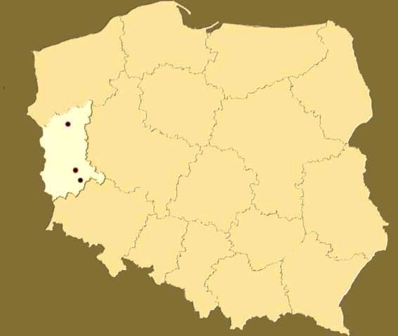 lubuskie na mapie Polski